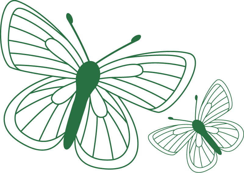 Butterflies